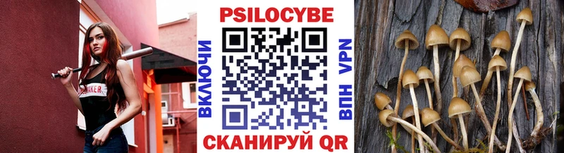 закладки  мориарти наркотические препараты  Псилоцибиновые грибы мухоморы  Ужур 